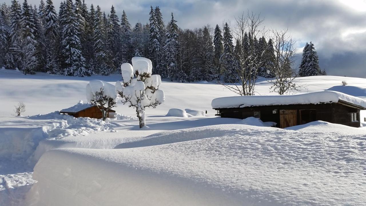 MV Vacances Les Rousses Exterior foto